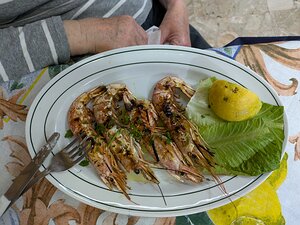 20240617_PXL174728507_Pixel7a-JEB